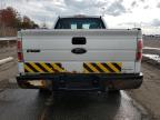 Lot #3024623598 2013 FORD F-150 XL