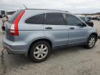 HONDA CR-V EX photo