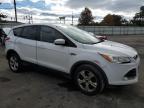 Lot #3024031210 2014 FORD ESCAPE SE