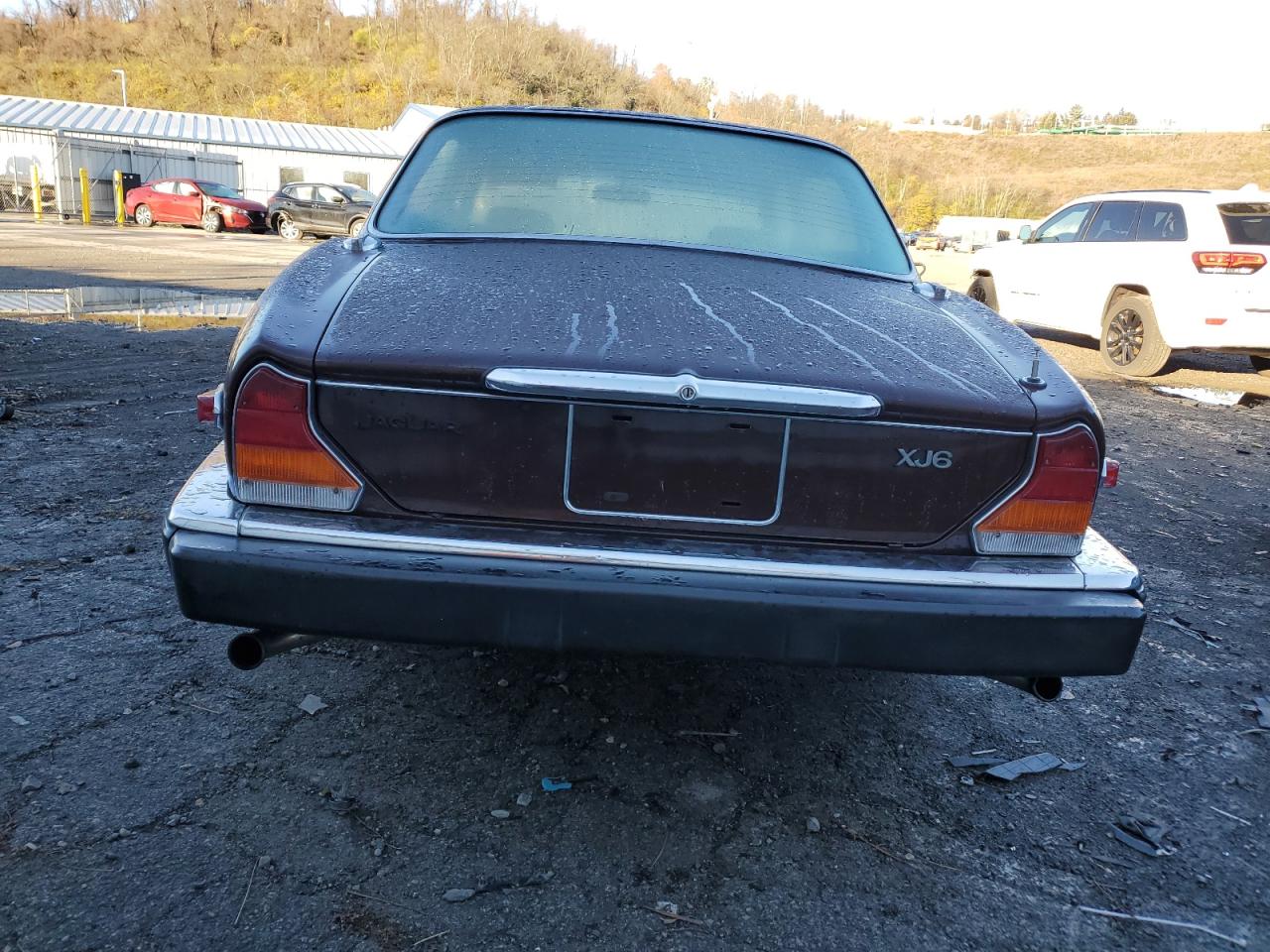 Lot #2969800339 1984 JAGUAR XJ6