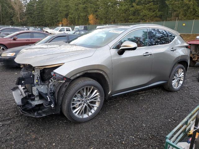 2024 LEXUS NX 350H BA