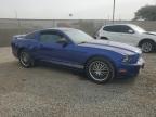 Lot #3024620667 2013 FORD MUSTANG