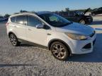 FORD ESCAPE SE снимка