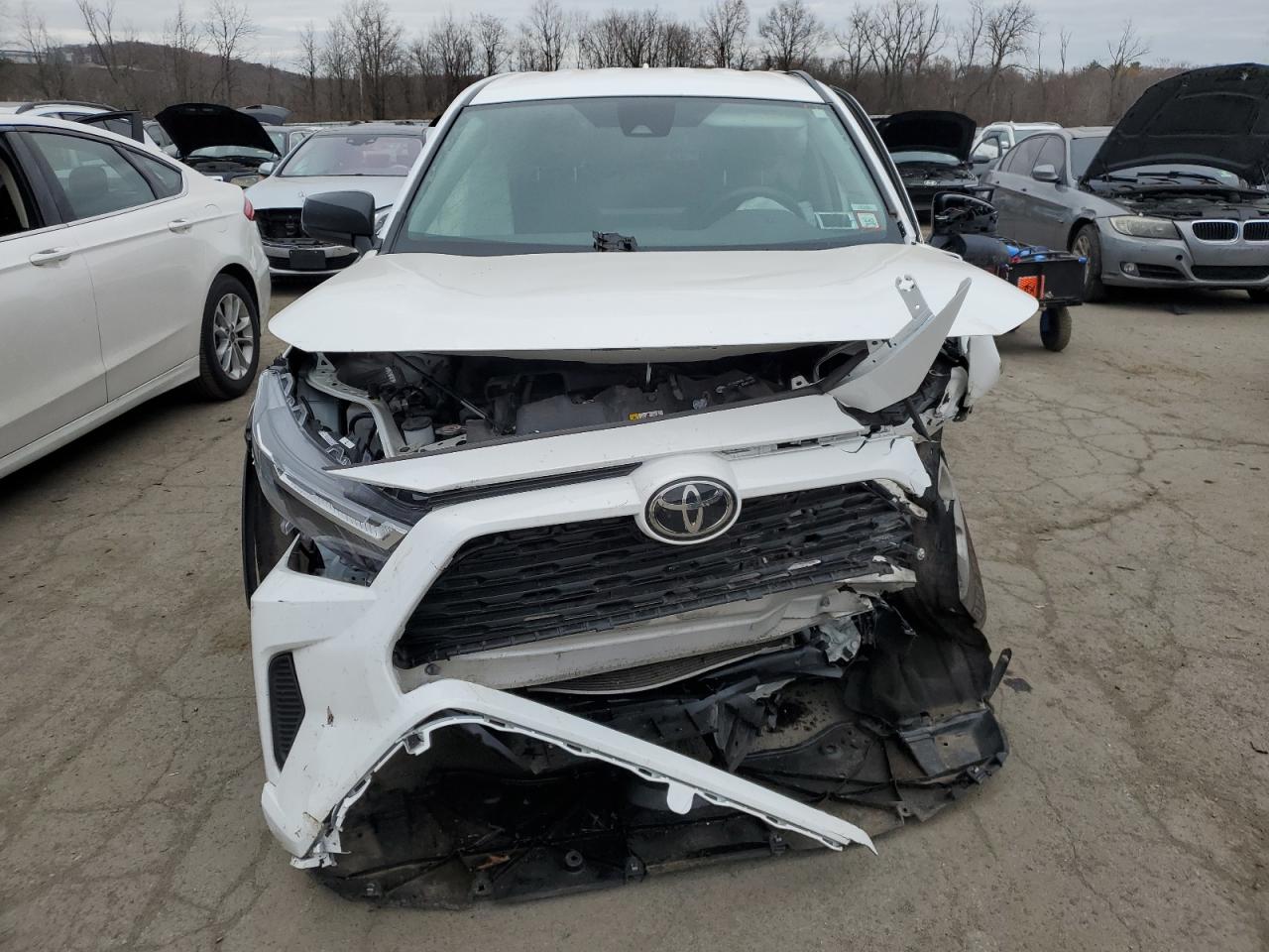 Lot #2994088417 2024 TOYOTA RAV4 LE