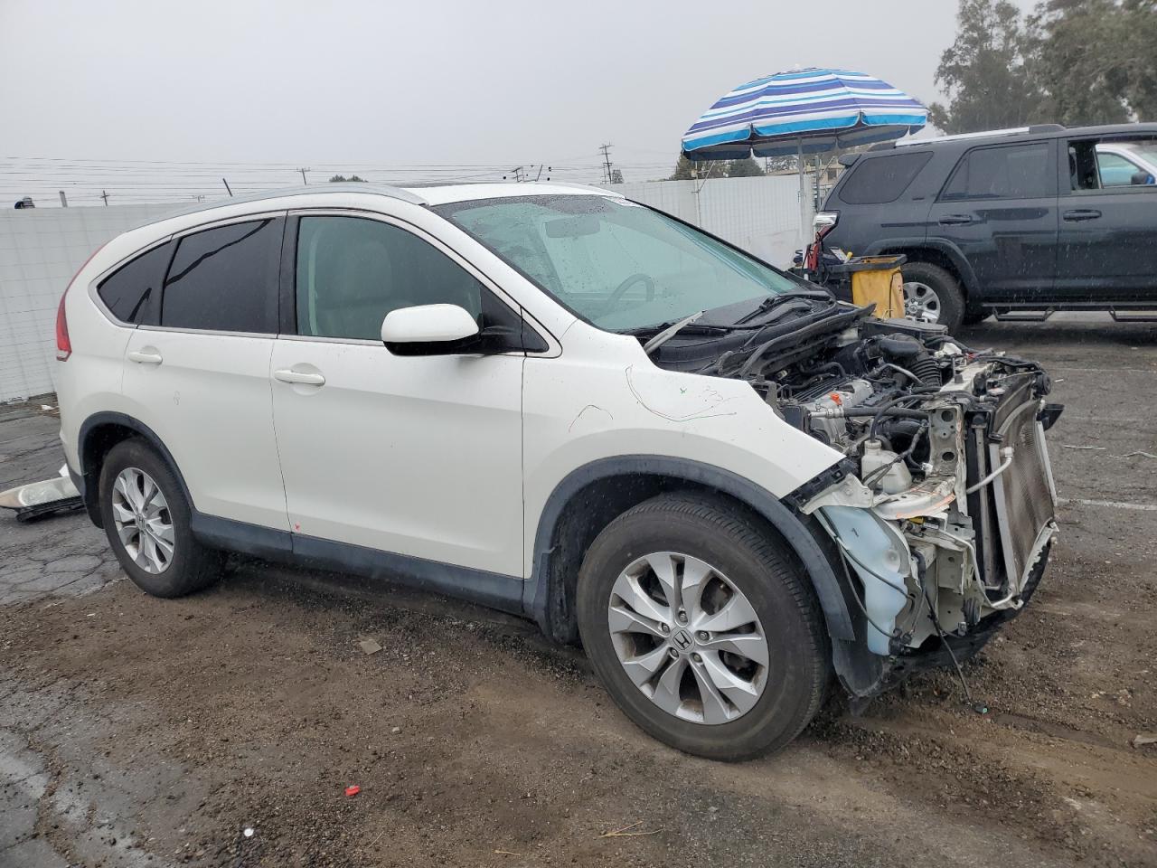 Lot #3024845437 2014 HONDA CR-V EXL