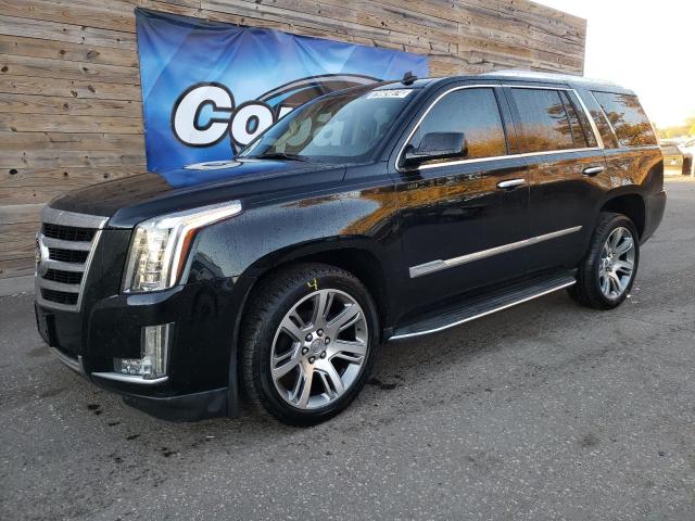 Vin: 1gys3bkj7fr268768, lot: 79924874, cadillac escalade luxury 2015 img_1