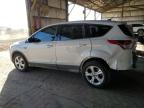 Lot #2991636970 2013 FORD ESCAPE SE