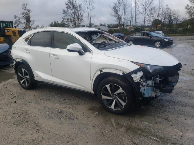 2020 LEXUS NX 300H - JTJGJRDZXL5009737