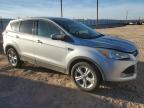 Lot #3025178184 2014 FORD ESCAPE SE