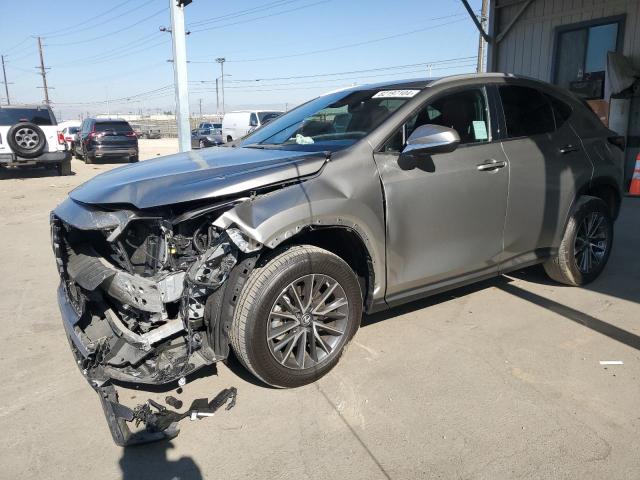 2023 LEXUS NX 250 #3032993989