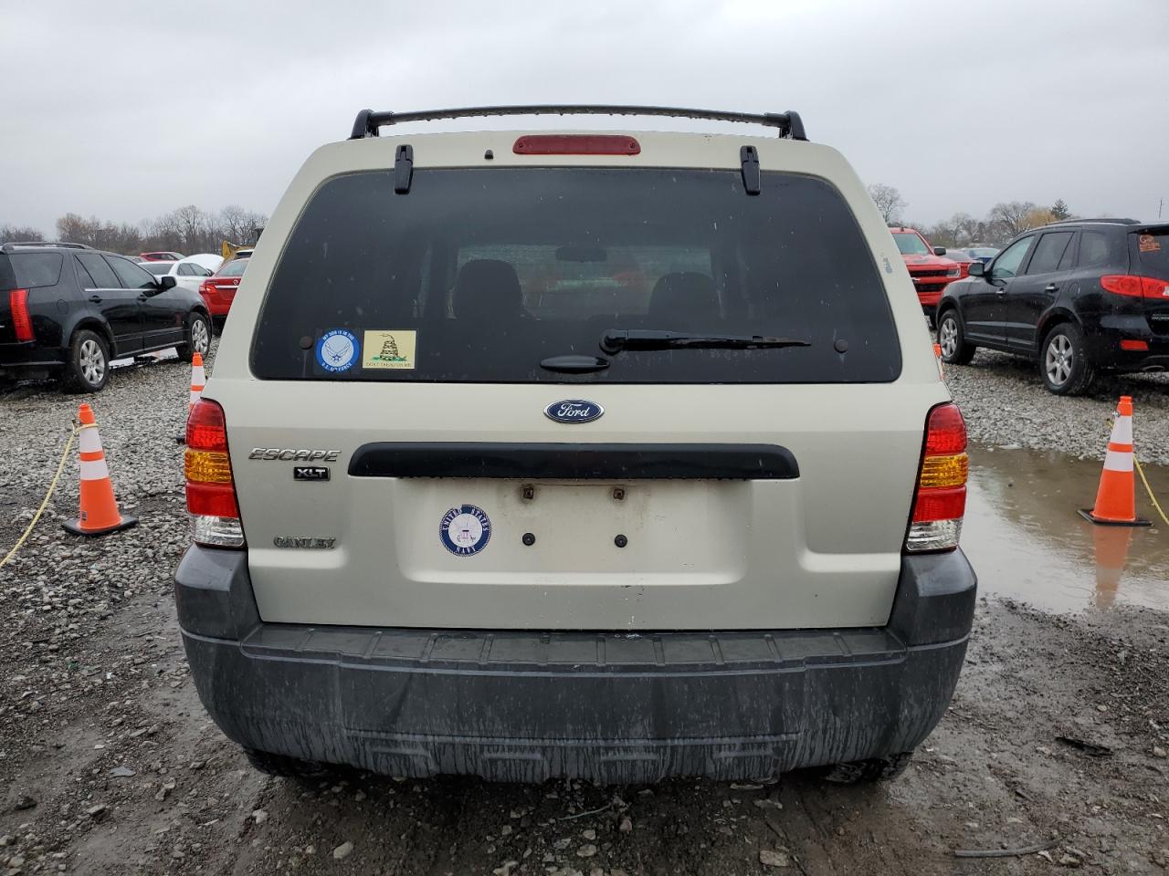 Lot #3003902605 2005 FORD ESCAPE