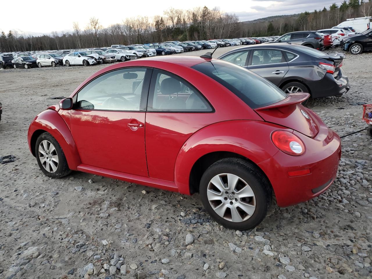 Lot #2994208269 2008 VOLKSWAGEN NEW BEETLE