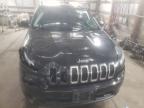 Lot #3023730890 2014 JEEP CHEROKEE L