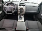 FORD ESCAPE XLT photo