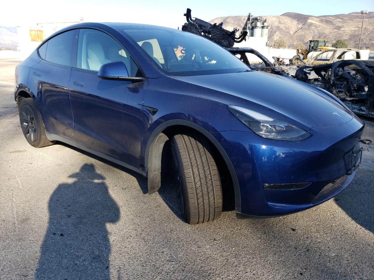 Lot #2989167736 2023 TESLA MODEL Y