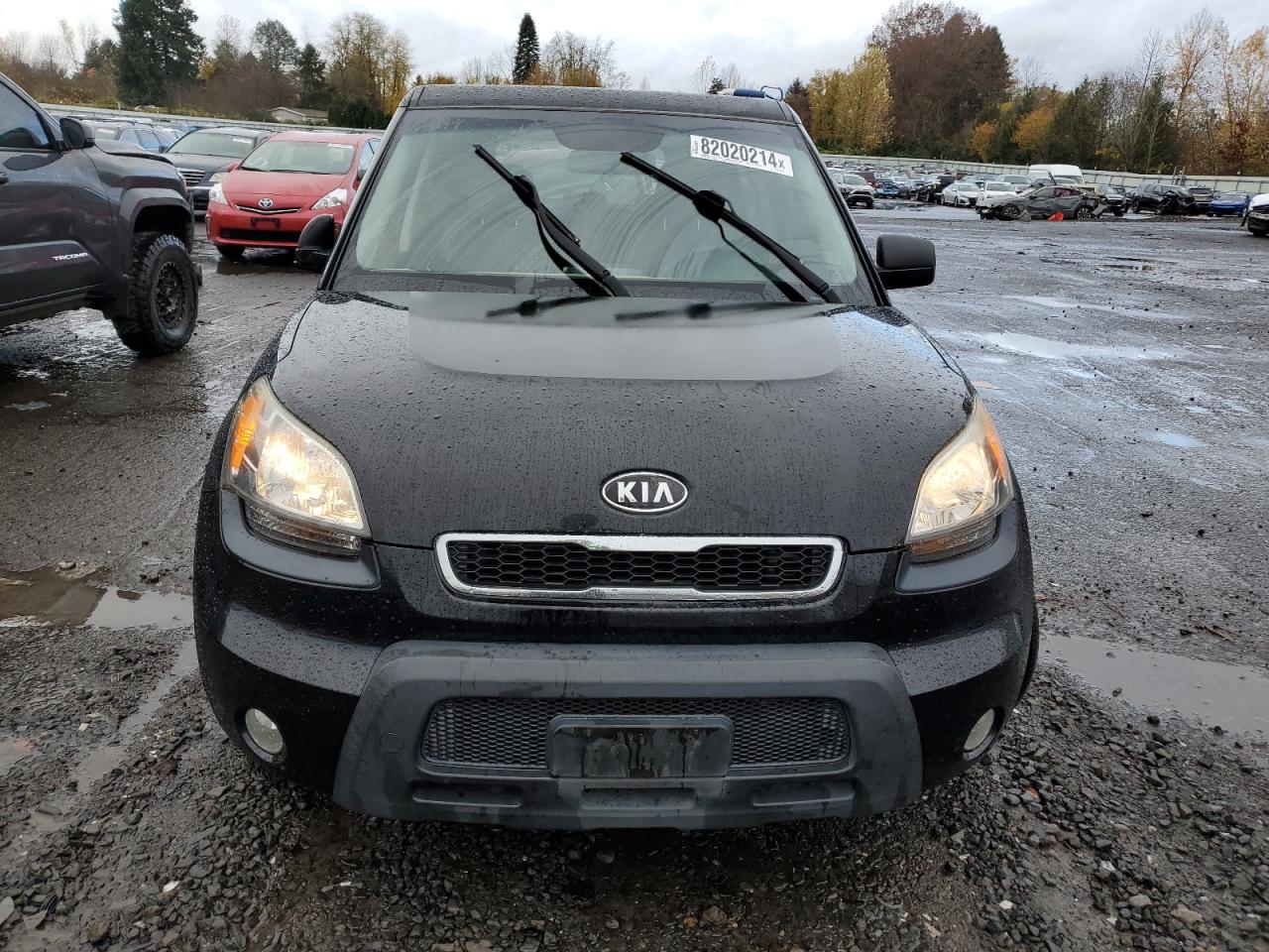 Lot #3020603921 2010 KIA SOUL +