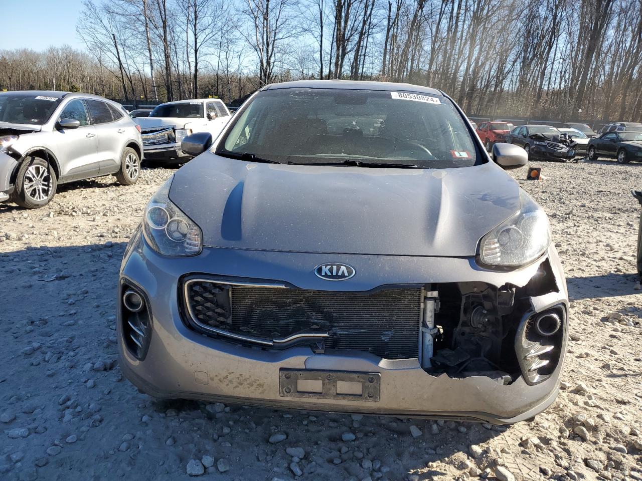 Lot #3009209353 2017 KIA SPORTAGE L