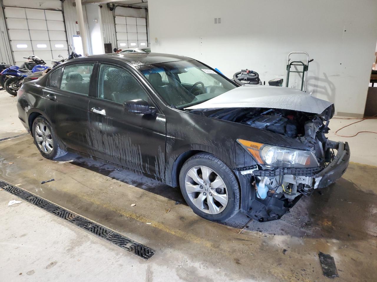 Lot #2986998830 2008 HONDA ACCORD EXL