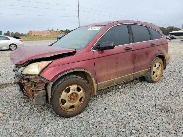 HONDA CR-V LX