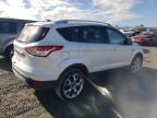 Lot #3023651934 2016 FORD ESCAPE TIT