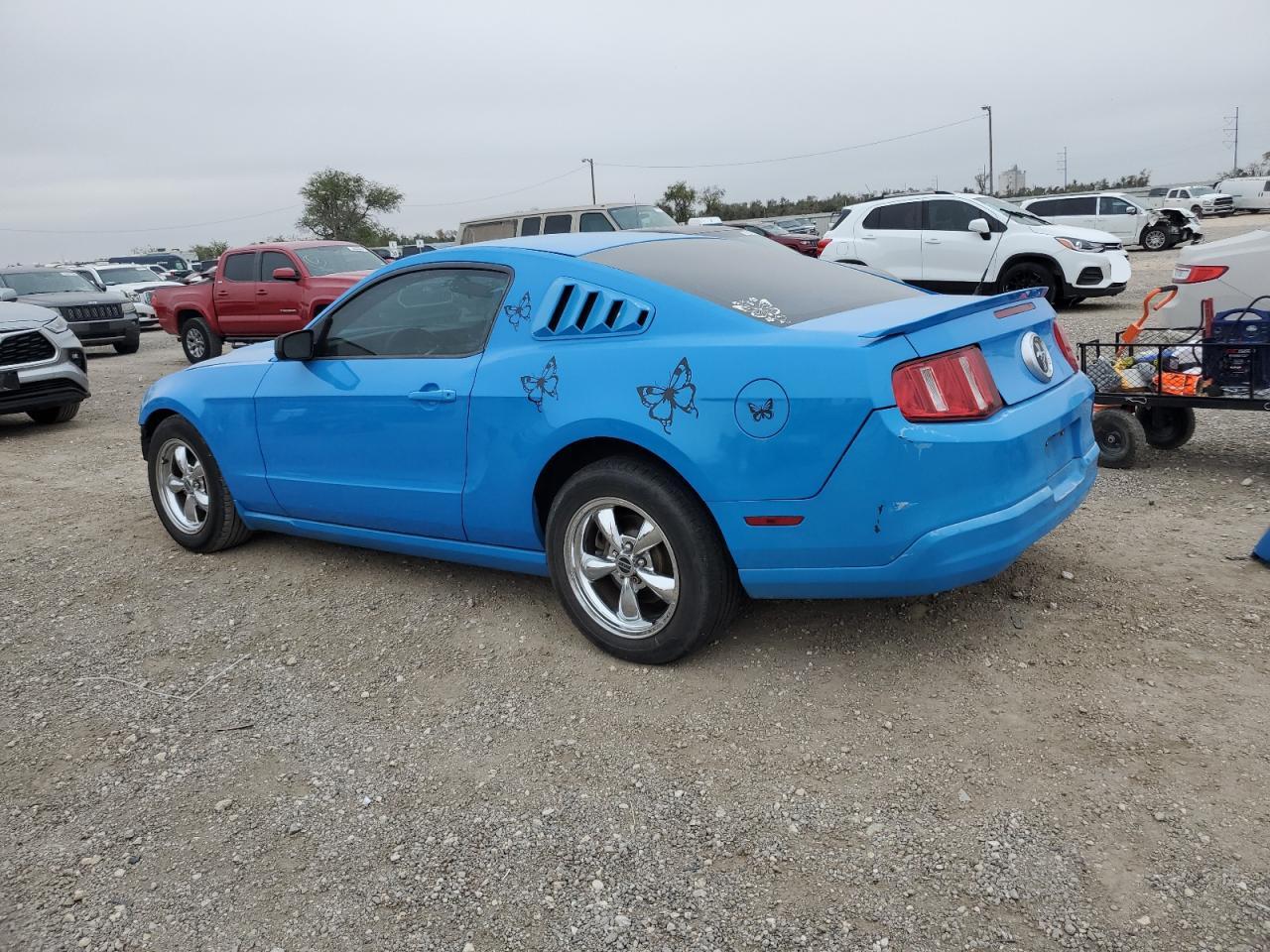 Lot #3024711653 2010 FORD MUSTANG