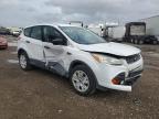 Lot #3024743268 2014 FORD ESCAPE S