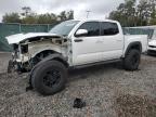 TOYOTA TACOMA DOU photo