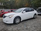 NISSAN ALTIMA BAS photo