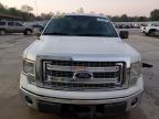 Lot #3024844362 2013 FORD F150 SUPER