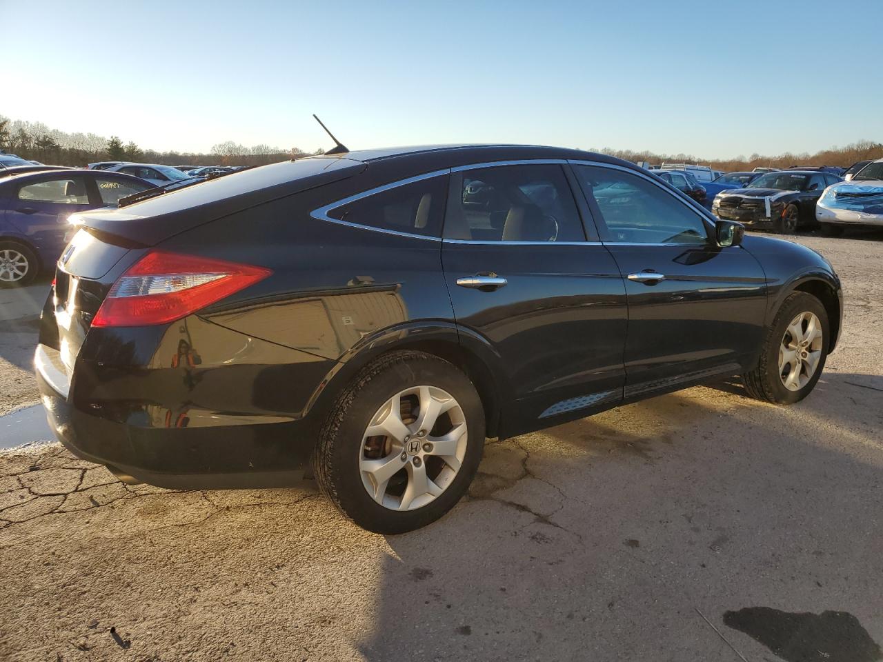 Lot #3029663109 2012 HONDA CROSSTOUR