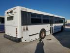 Lot #3023814975 1997 GILLIG BUS