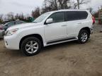 LEXUS GX 460 photo