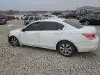 Lot #3024153841 2009 HONDA ACCORD EXL