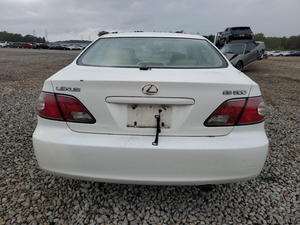 Lot #2969895008 2003 LEXUS ES 300