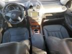 MERCEDES-BENZ ML 350 photo