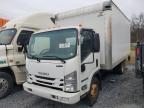 Lot #3023757935 2016 ISUZU NPR HD