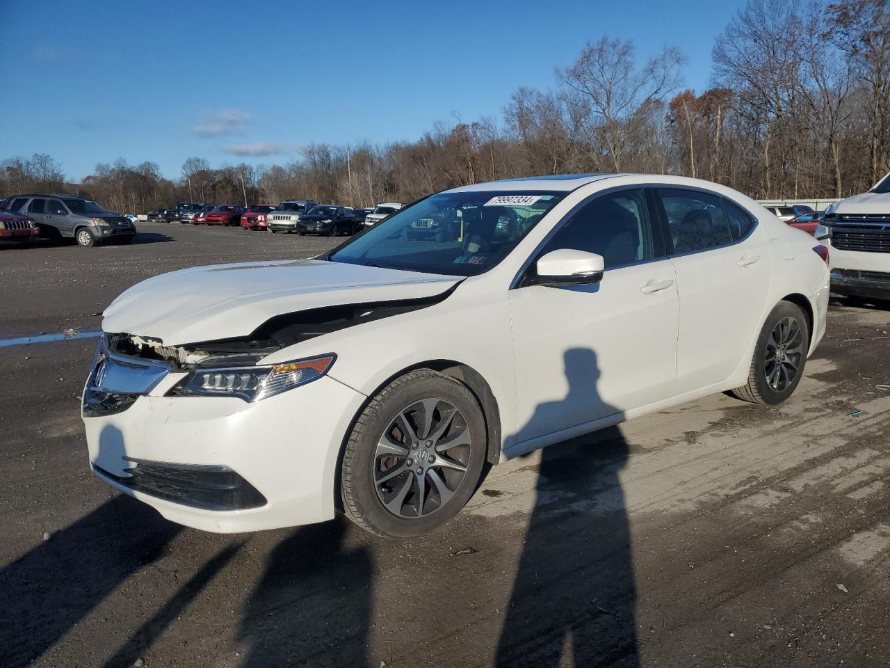 Lot #2996561758 2017 ACURA TLX