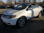 NISSAN MURANO CRO photo