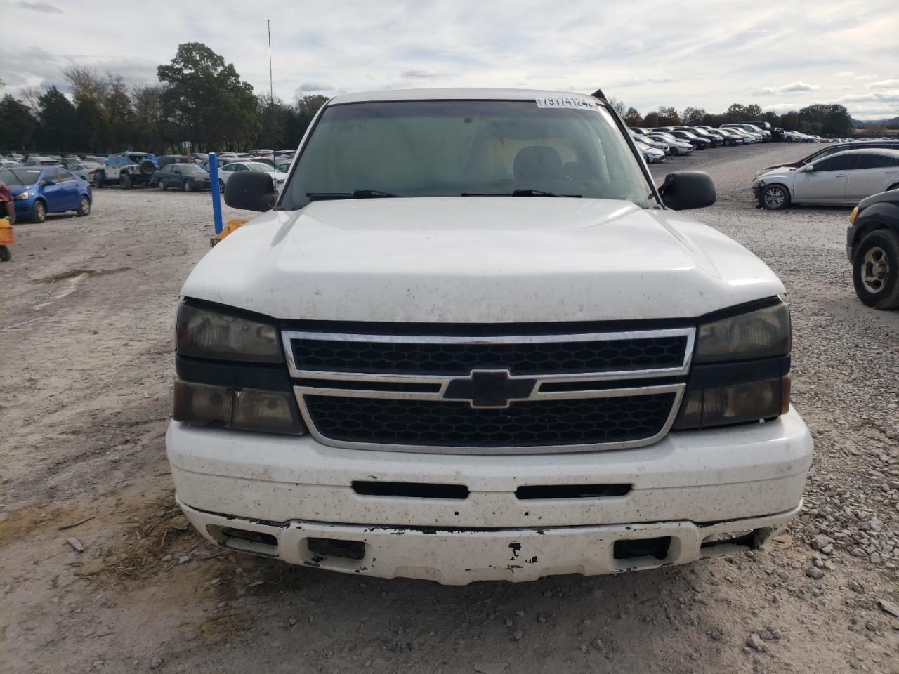 Lot #3029655084 2006 CHEVROLET SILVERADO