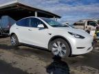 TESLA MODEL Y photo