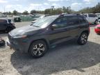 JEEP CHEROKEE T photo