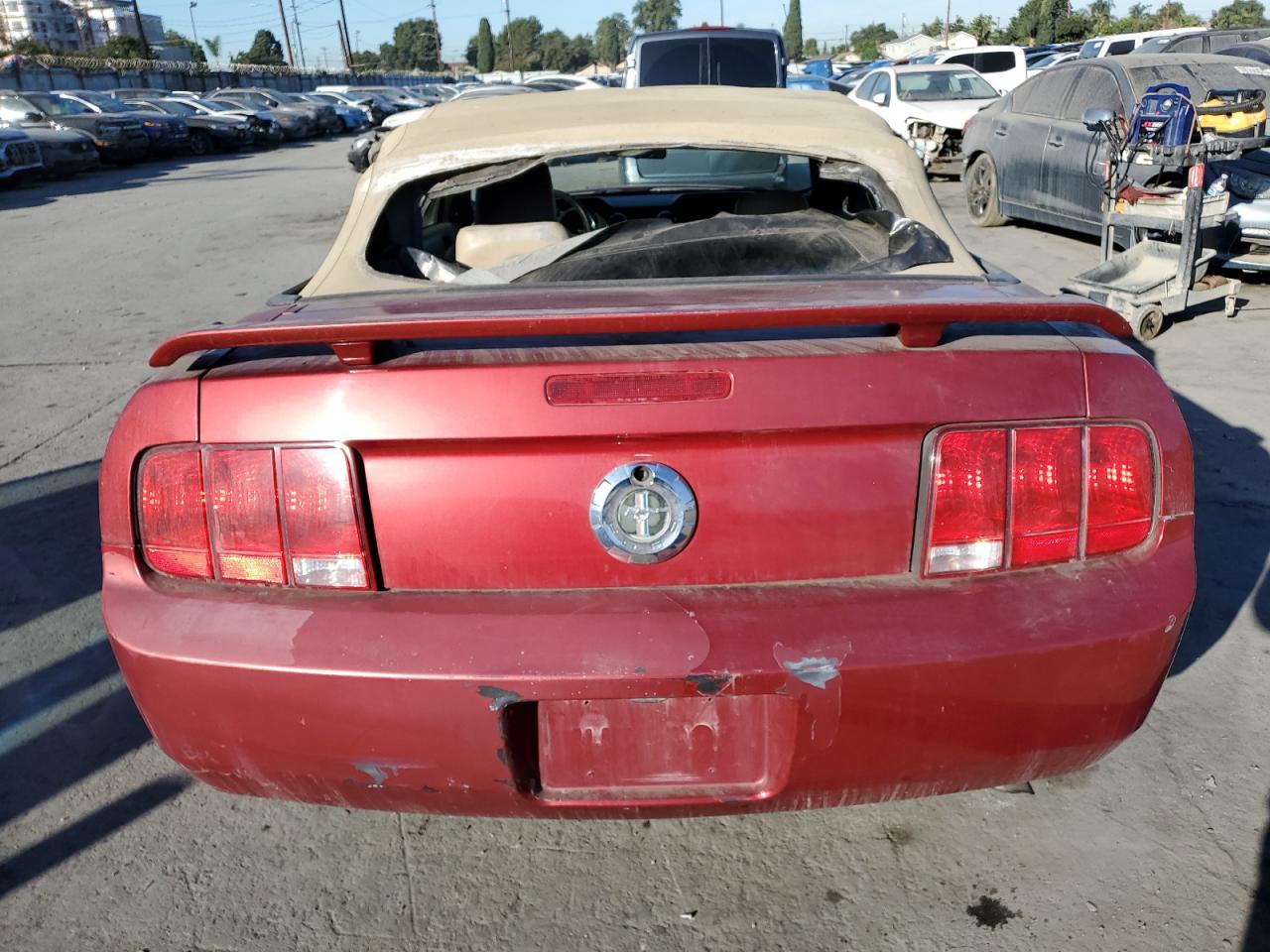 Lot #2955226510 2005 FORD MUSTANG