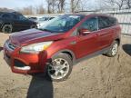 FORD ESCAPE TIT снимка