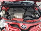 TOYOTA CAMRY BASE photo