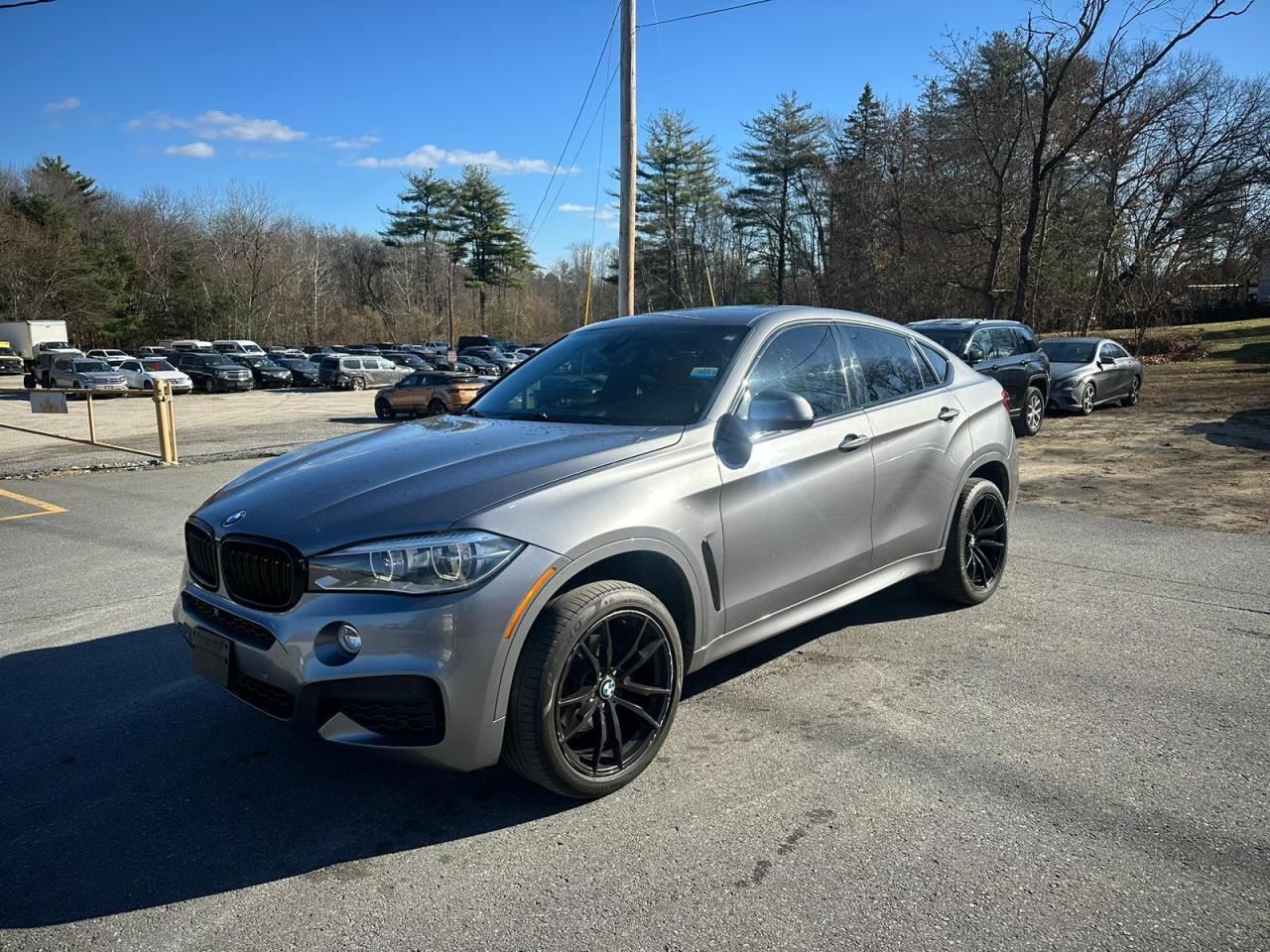 Lot #3029376686 2015 BMW X6 XDRIVE3