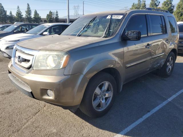 HONDA PILOT EXL 2009 gold 4dr spor gas 5FNYF385X9B027885 photo #1