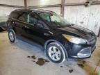 Lot #3009214467 2014 FORD ESCAPE SE