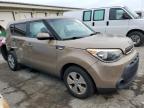 Lot #3027108773 2014 KIA SOUL