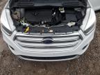 Lot #3020253494 2017 FORD ESCAPE SE