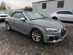 Lot #3006686359 2020 AUDI S5 PREMIUM